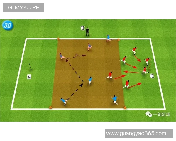 零基础学足球从入门到精通的全面指南助你轻松掌握足球技巧与战术